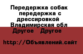 Передержка собак ,передержка с дрессировкой - Владимирская обл. Другое » Другое   